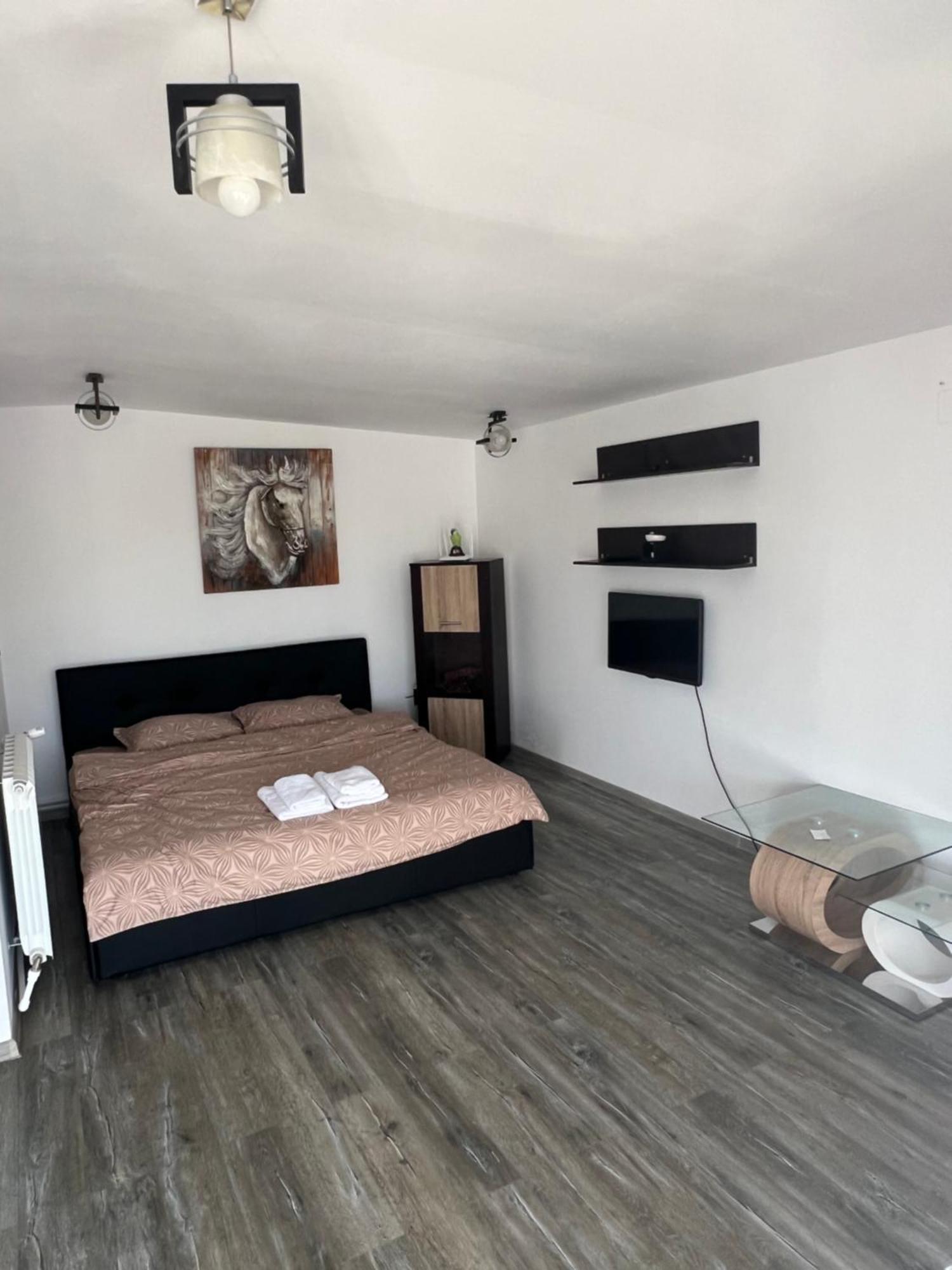 Hotel Casa Selly Tulcea Esterno foto
